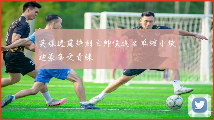 英媒透露热刺主帅候选名单缩小埃迪豪备受青睐